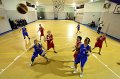Basket 443104